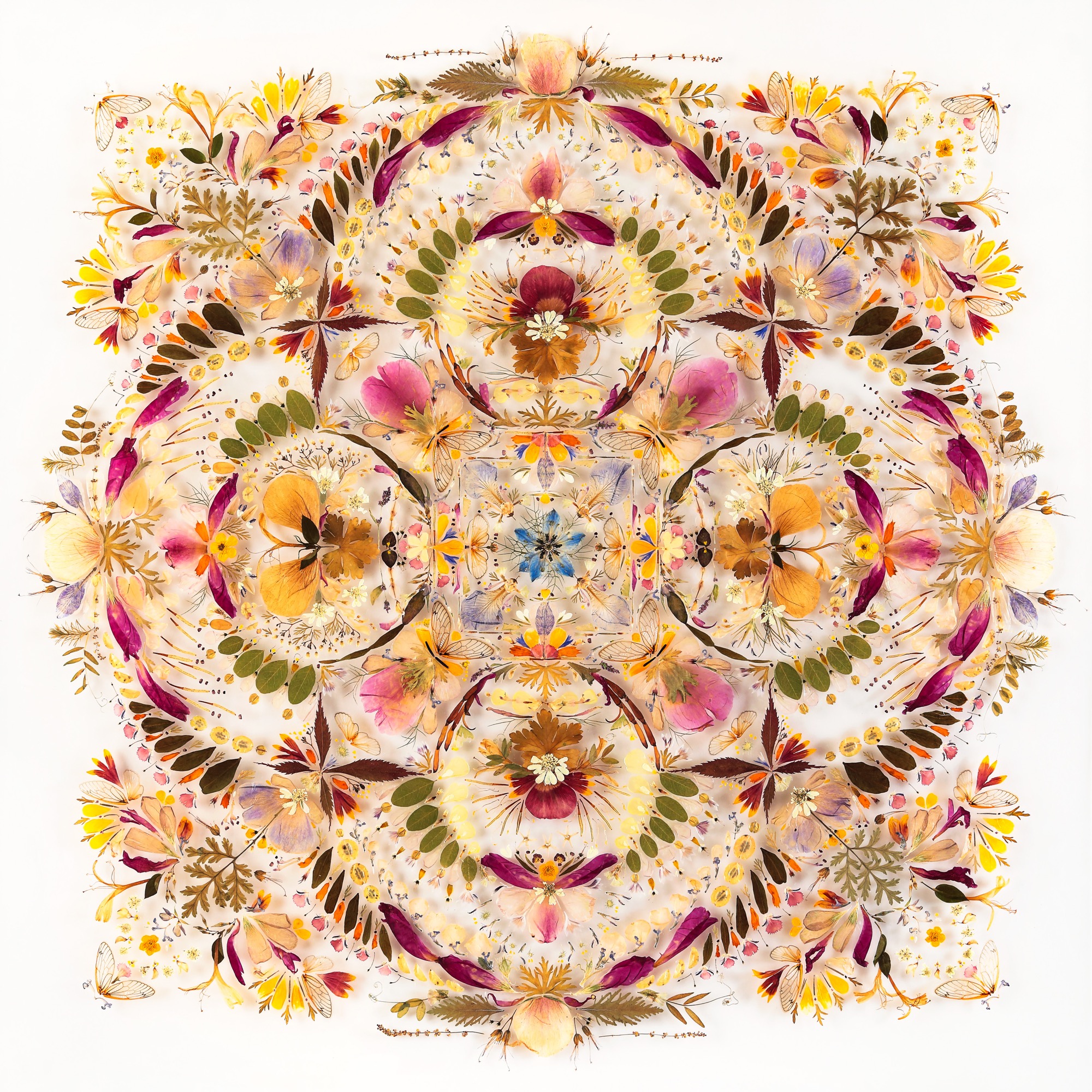 Hillary Waters Fayle Creates ‘Portraits of Place’ from Seeds, Foliage, and Petals